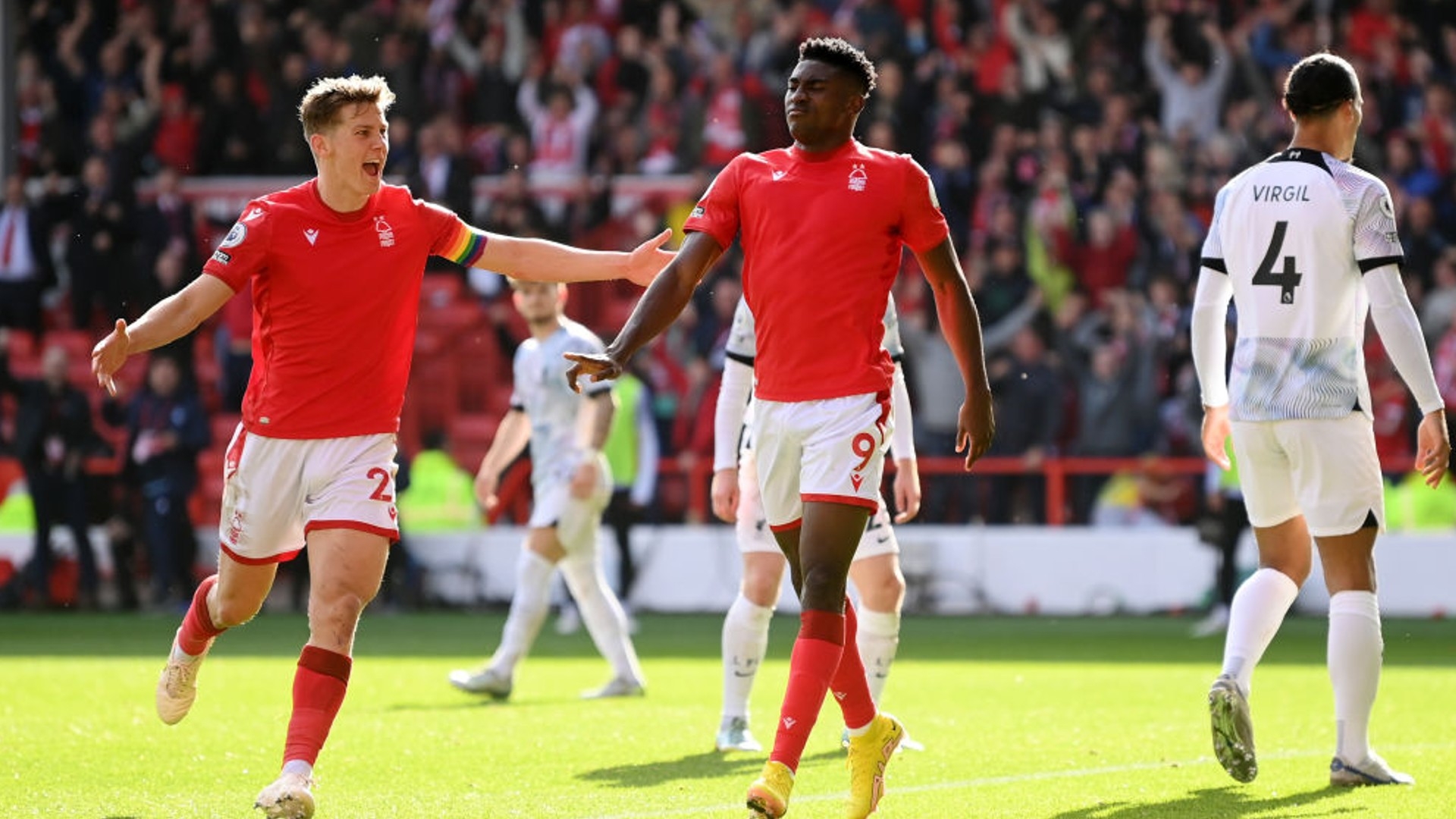 石木混合 石木混合